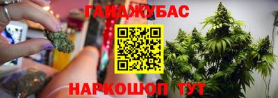 гидропоника Дубна
