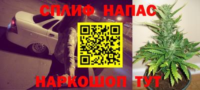 гашик Донской