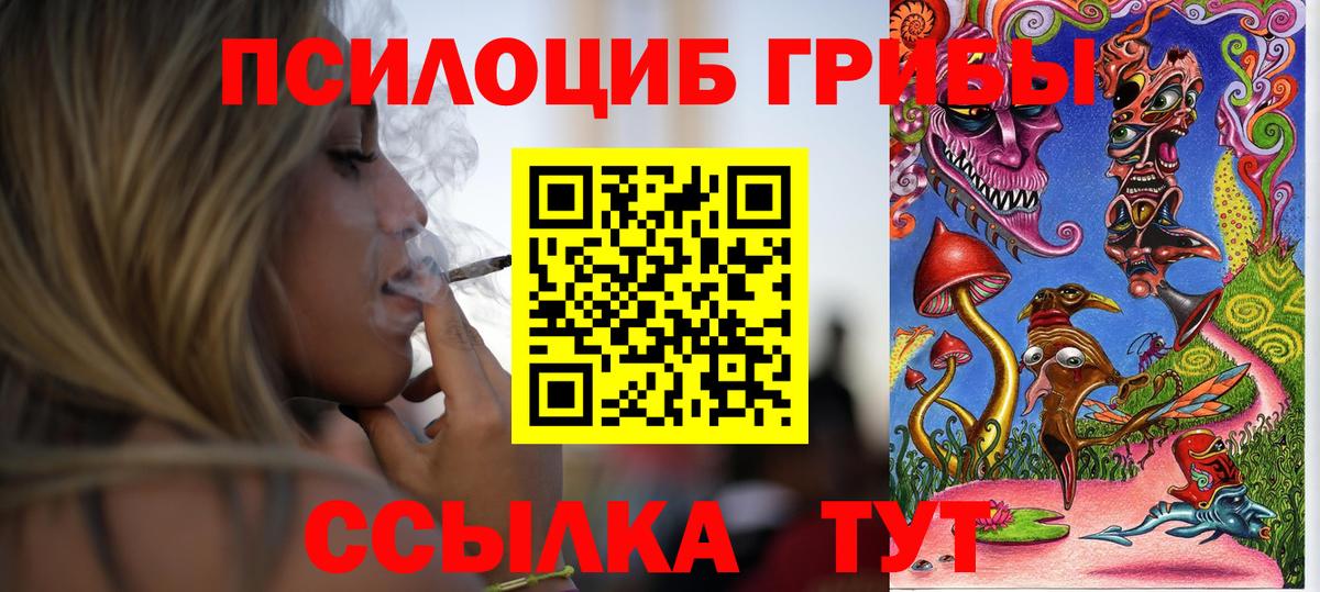 Псилоцибиновые грибы Magic Shrooms Губкин