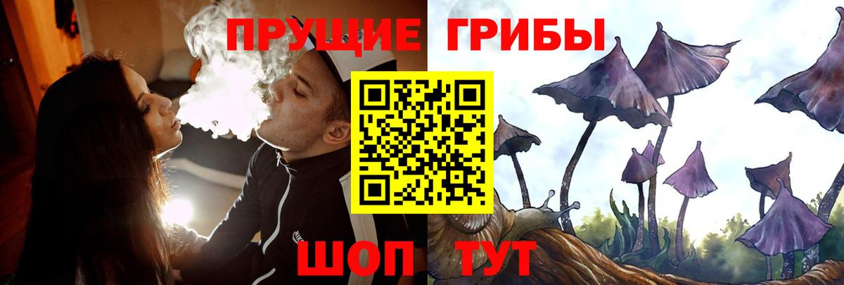 Губкин  Псилоцибиновые грибы GOLDEN TEACHER  Вход с VPN  Псилоцибиновые грибы MAGIC MUSHROOMS 